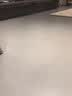 鲨客蒸汽拖把家用厨房蒸汽清洁机拖地洗地机助手 高温蒸汽除菌电动手持洗地机吸尘器伴侣 P39lite标准版 实拍图