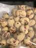 方家铺子去皮去核枣500g 新疆灰枣无核免洗脱皮红枣果干零食辅食 实拍图