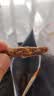 百草味牛肉条五香味50g 肉干肉脯特产肉类小吃即食熟食 新老包装随机发 实拍图