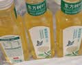 农夫山泉东方树叶茉莉花茶500ml 实拍图