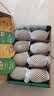 佳沛（zespri）新西兰金奇异果8粒超大果175-204g猕猴桃中秋节礼品送水果礼盒 实拍图