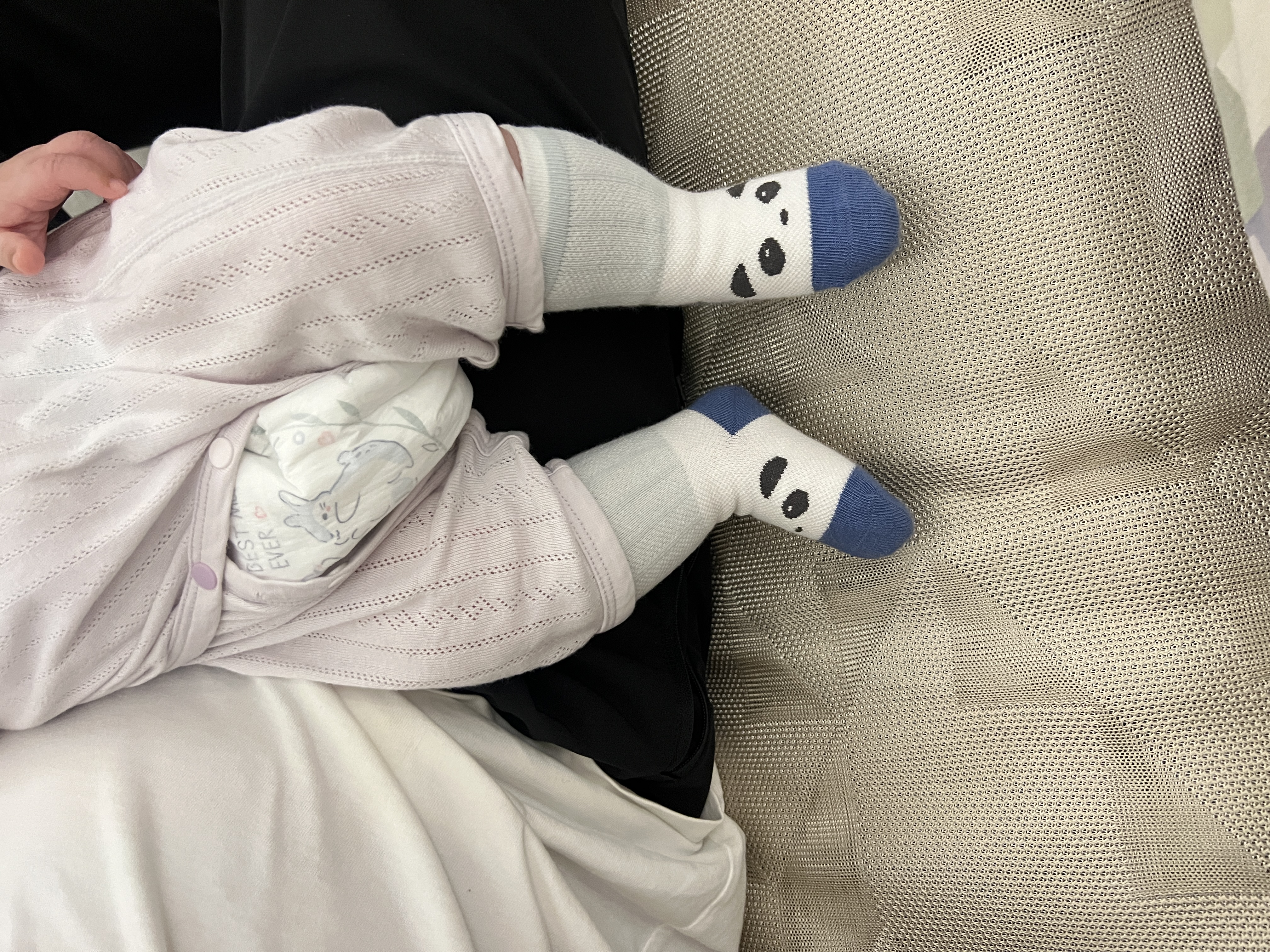 贝比新生婴儿袜子夏季薄款网眼纯棉a类幼儿胎袜儿童袜男女宝宝中筒袜 实拍图