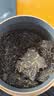 大益TAETEA茶叶普洱茶饼茶 5年陈料天地人和生茶357g/饼 中华老字号 实拍图
