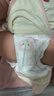 好奇（Huggies）铂金装小桃裤成长裤L120片(9-14kg)尿不湿拉拉裤【夏季散热王】 实拍图