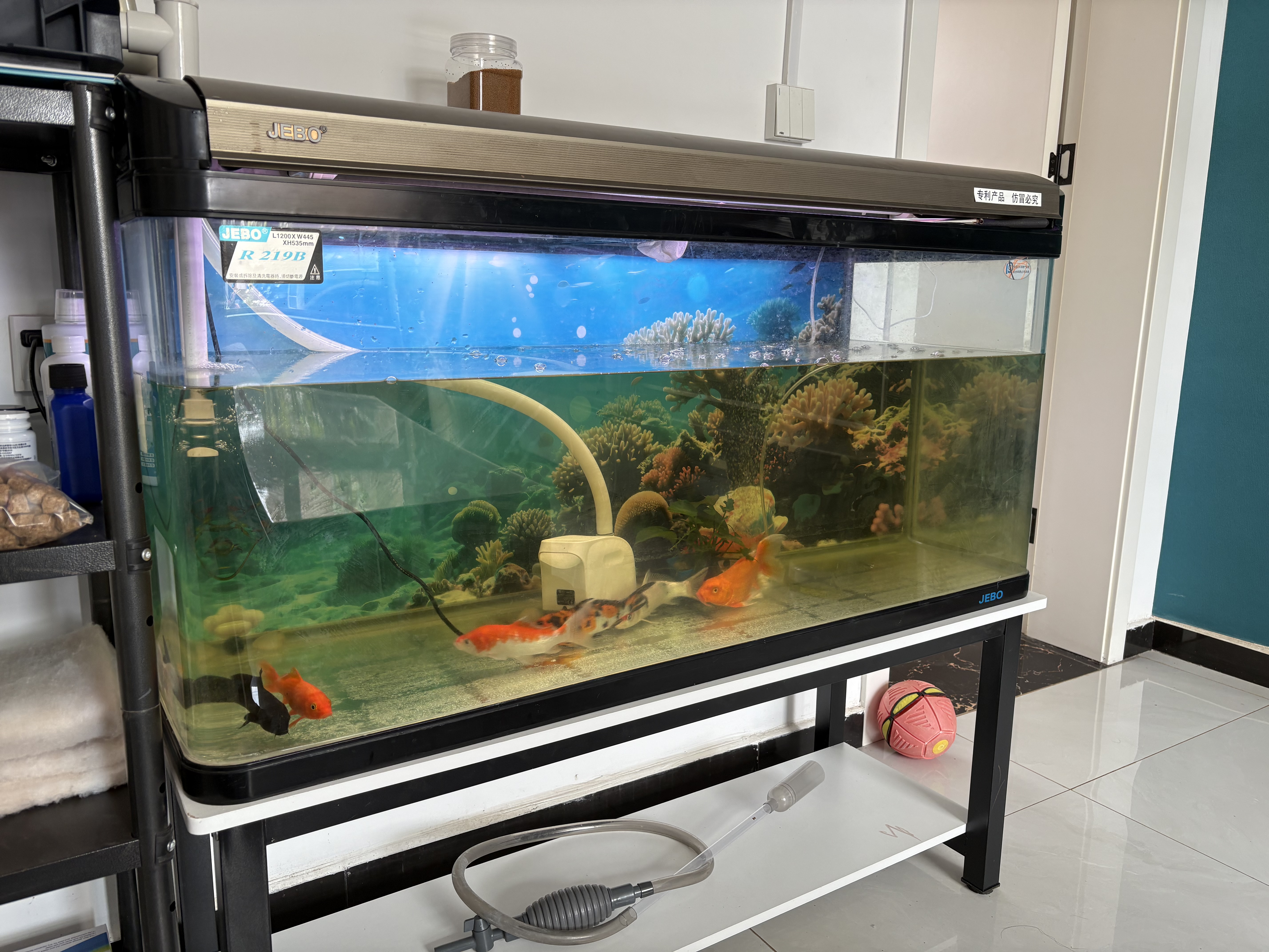 憨憨乐园蛋白棉水族鱼缸专用过滤材料除腥臭去黄水克星污力丸净水神器 实拍图