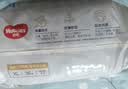 好奇（Huggies）金装小黑洞拉拉裤XL96片(12-17kg)尿不湿【速干不易红】 实拍图