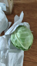 京鲜生山东新鲜绿甘蓝净重3斤 卷心菜 包菜 甘蓝新鲜蔬菜 源头直发 实拍图