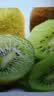 佳沛（zespri）新西兰金奇异果30-33粒原箱103-124g猕猴桃中秋节礼品送水果礼盒 实拍图