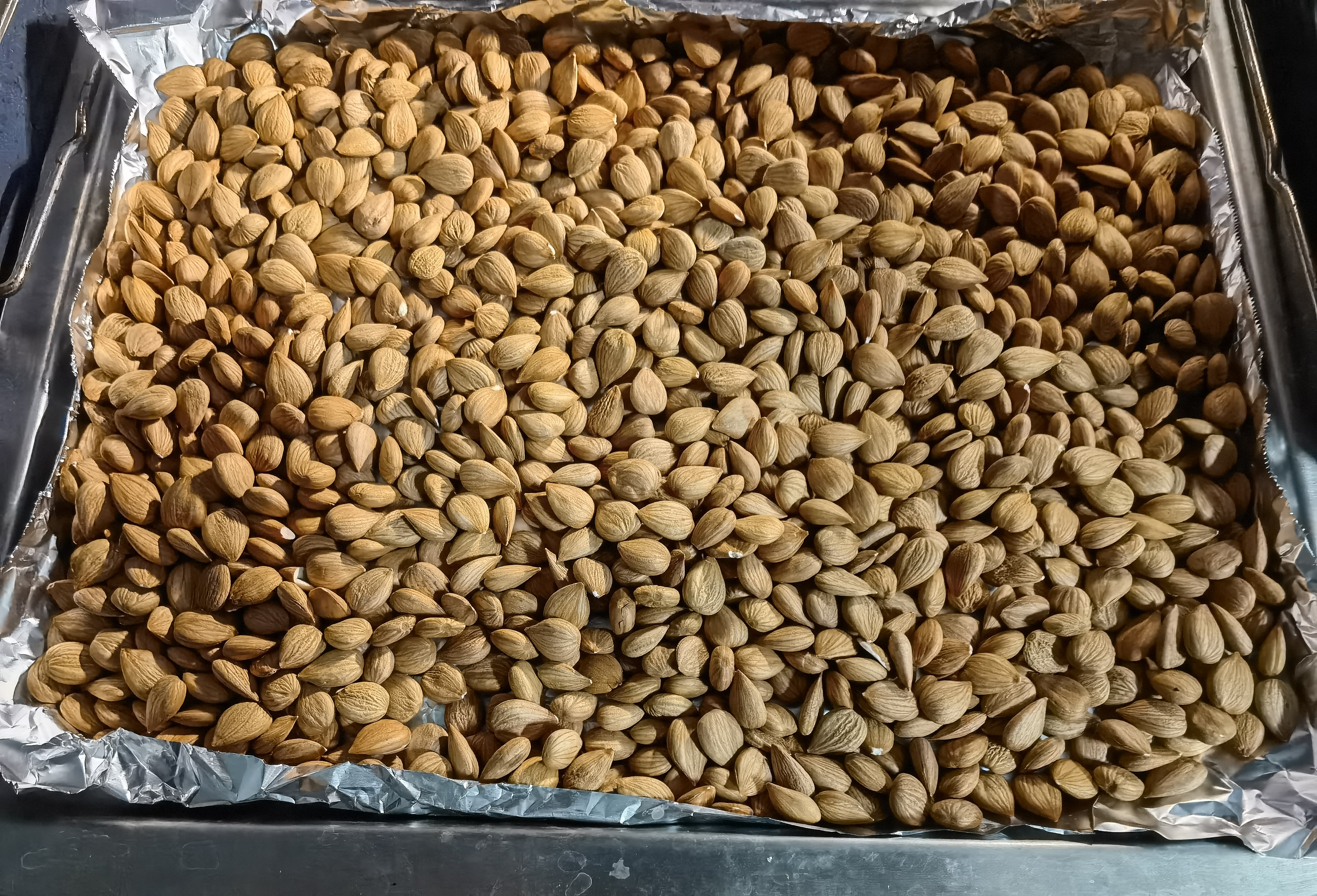 楼兰蜜语甜杏仁600g/盒南杏仁中秋送礼盒烘焙每日坚果杏仁露零食下午茶 实拍图