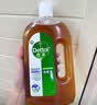 滴露（Dettol）消毒液洗衣衣物消毒水750mL 除螨杀菌混洗无忧 家居地板消毒 非84 实拍图