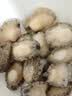 江船长冷冻无壳鲍鱼肉净重400g(40-50粒）火锅烧烤 活鲍加工 中秋聚餐 实拍图