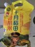 十月稻田 赤峰小米 1kg 内蒙古敖汉旗 黄小米杂粮 小米黄小米 实拍图