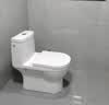 箭牌（ARROW）马桶家用直冲式坐便器大冲力座便坐厕1级水效 AEB12601-1L400坑距 实拍图