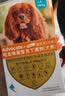 爱沃克宠物驱虫内外同驱耳螨跳蚤蛔虫4-10kg中小犬1ml单支德国进口原研 实拍图
