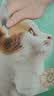 领先成猫尝鲜礼包主食级烘焙猫粮猫条餐盒汤包（新老款随机发货） 实拍图