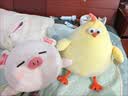 名创优品（MINISO）墩dun鸡系列抱枕卧室教室办公室午睡枕客厅沙发靠枕生日礼物小号 实拍图