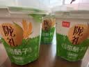 陇萃堂兰州灰豆子甜醅子罐装方便速食甘肃特产甜胚子低脂代餐零食中秋节 210g罐装甜醅子*4 实拍图