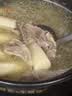 硒全食美无抗富硒汤鸽净重520g（2只）冷冻鸽子滋补煲汤烧烤生鲜鸽子 实拍图