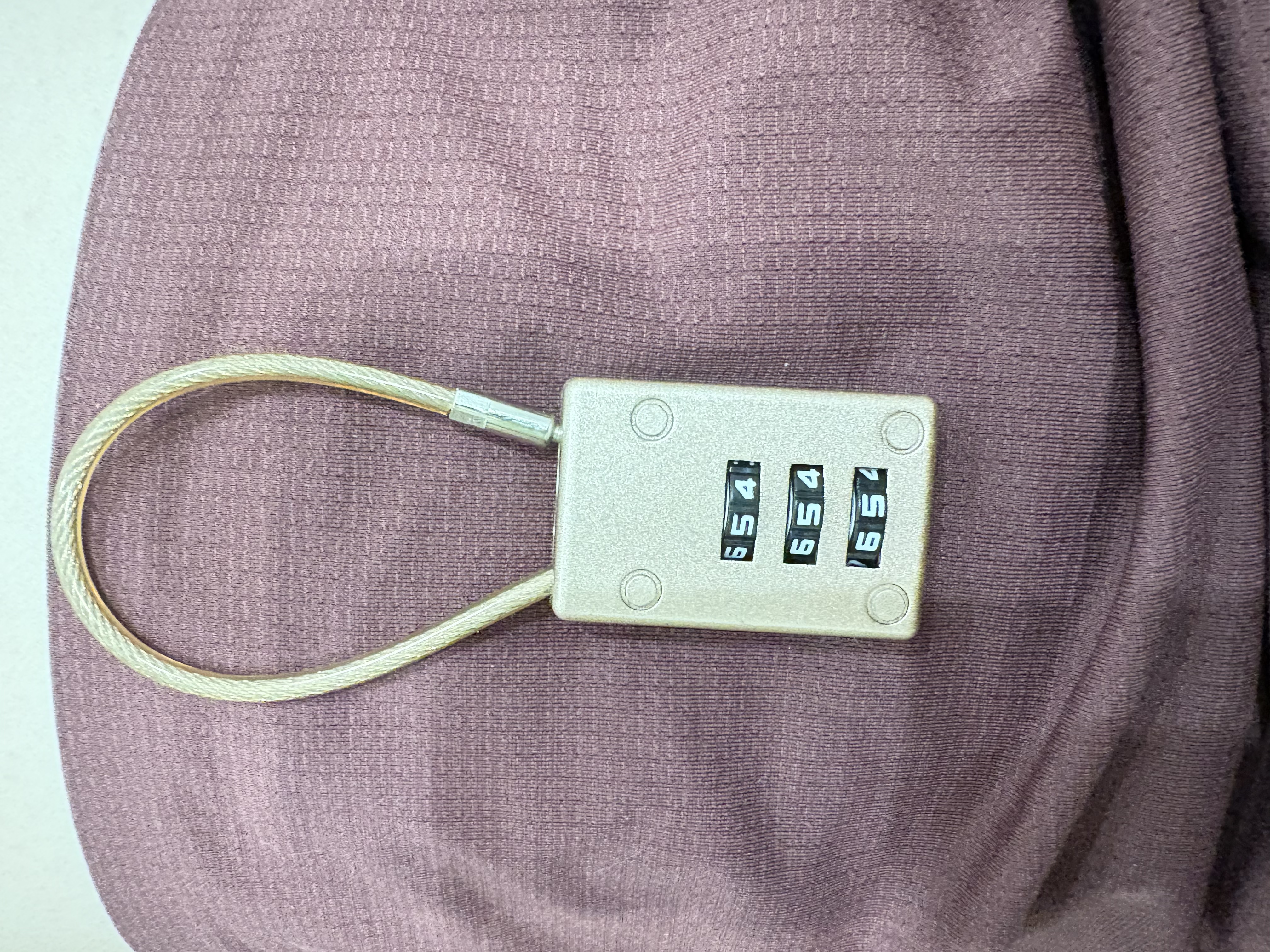 RESET小密码锁挂锁箱包背包书包拉杆箱密码挂锁工具箱钢缆锁香槟色10cm 实拍图
