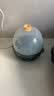 九阳（Joyoung）煮蛋器多功能智能蒸蛋器 一键启动14个蛋量 ZD14-GE140 实拍图