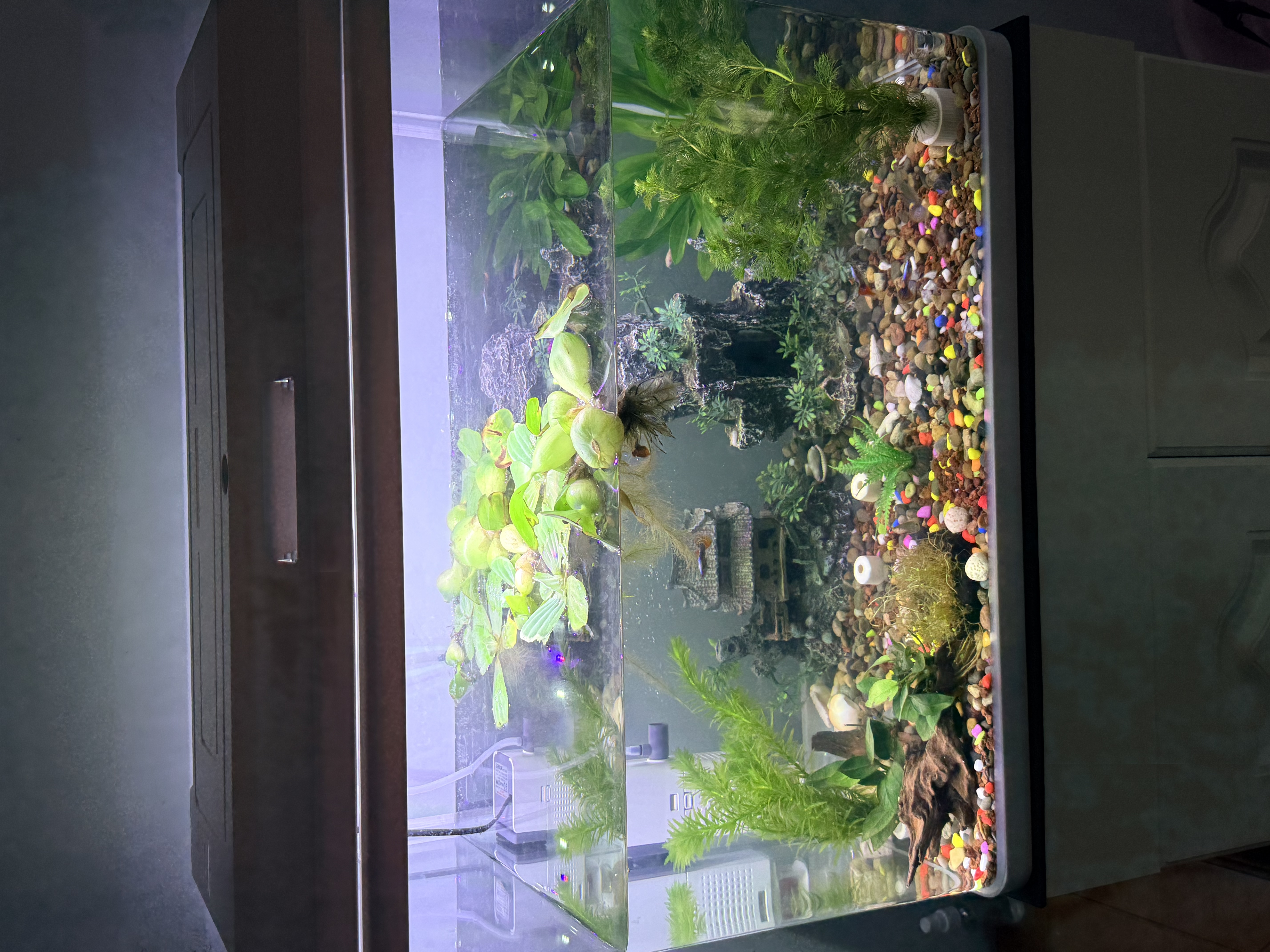 松宝（sobo）鱼缸过滤器内置三合一过滤增氧系统水族箱养鱼循环水泵氧气泵 15W 实拍图