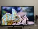 索尼（SONY）【官方直供】高端款5系K-75XR50 75英寸索尼电视新品MiniLED 4K120Hz高刷XR芯片一级能效X90L升级 75英寸 K-75XR50【一级能效】 实拍图