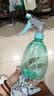 喷壶浇花浇水喷雾器气压式喷水壶家用园艺养花500ml 南瓜喷壶透蓝【1个装】 实拍图