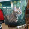 网易严选全价鲜鸡肉猫粮J40 生骨肉无谷主食冻干 成幼猫草本植萃10kg 实拍图