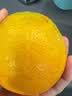 新鲜脐橙秭归夏橙果肉细嫩化渣鲜甜爆汁【50-55mm】 -带箱2斤（酸甜口感，更过瘾） 实拍图