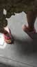 幸福玛丽（Cheerful Mario）美乐蒂儿童卡通宝宝凉拖鞋夏季男女亲子沙滩防滑凉拖女孩软底凉拖 实拍图