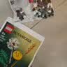 乐高（LEGO） 幻影城市女孩我的世界拼砌体验包生日礼物 30688 热带巨嘴鸟 实拍图