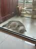 pidan混合豆腐猫砂 除臭结团经典款豆腐膨润土皮蛋猫砂2.4kg*8包 实拍图