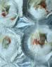 獐子岛 冷冻蒜蓉粉丝扇贝600g 18只 烧烤食材 海鲜生鲜水产预制菜 实拍图