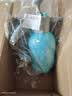 农宝 浇花喷壶园艺工具洒水壶喷水壶多肉浇水壶消毒 2L可排气+加长杆 实拍图