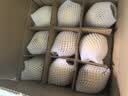 河北水果皇冠梨香甜酥脆多汁特产梨子生鲜 单果200g+净重4.5斤 实拍图