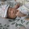 taoqibaby婴儿床中床防惊跳宝宝床可移动便携新生儿床可拆洗哄睡神器0-12月 实拍图