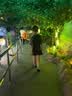 361°【孙杨同款】泳衣男士泳裤防尴尬两件套装成人平角沙滩游泳裤装备 实拍图