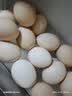正大食品（CP）睛彩叶黄素鲜鸡蛋30枚 1.68kg  富含叶黄素 京东自营 中秋礼盒 实拍图