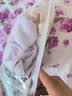 红豆女士内裤女抗菌棉氨三角裤蕾丝无痕中腰裤头4条装 组合四170 实拍图