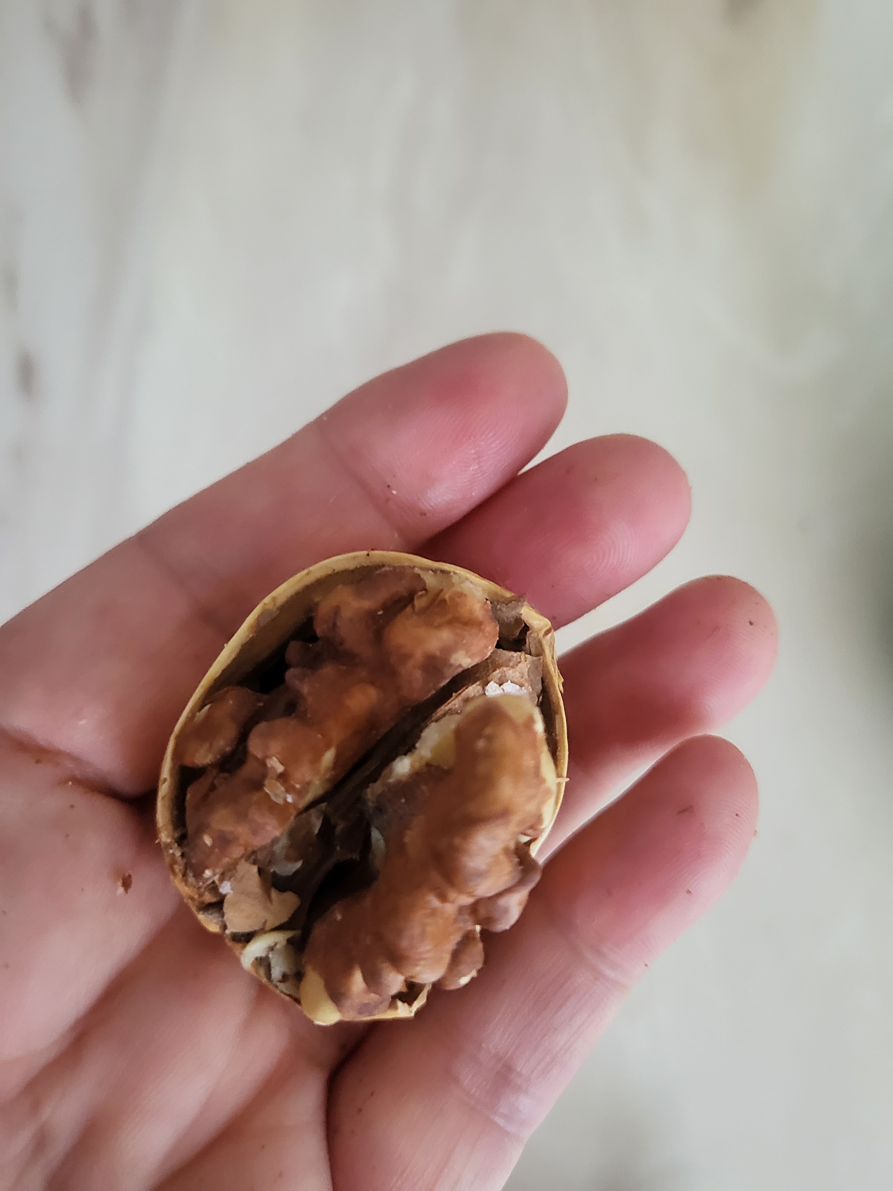 思宏手剥烤核桃草本味炒货新货手拨熟新疆纸皮核桃薄皮孕妇儿童零食 思宏185手剥烤核桃2500g袋装 实拍图