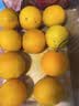 京觅应季脐橙湖北鲜橙榨汁爽口净重6斤单果180g+新鲜水果源头直发包邮 实拍图