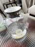 忆江南冻干柠檬片200g冷泡茶蜂蜜柠檬干水果茶柠檬片泡水喝独立包装茶叶 实拍图
