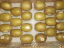 佳沛（zespri）新西兰金奇异果22粒巨大原箱146-175g猕猴桃中秋节礼品送水果礼盒 实拍图