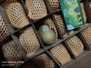 佳沛（zespri）新西兰金奇异果18粒优选果103-124g猕猴桃中秋节礼品送水果礼盒 实拍图
