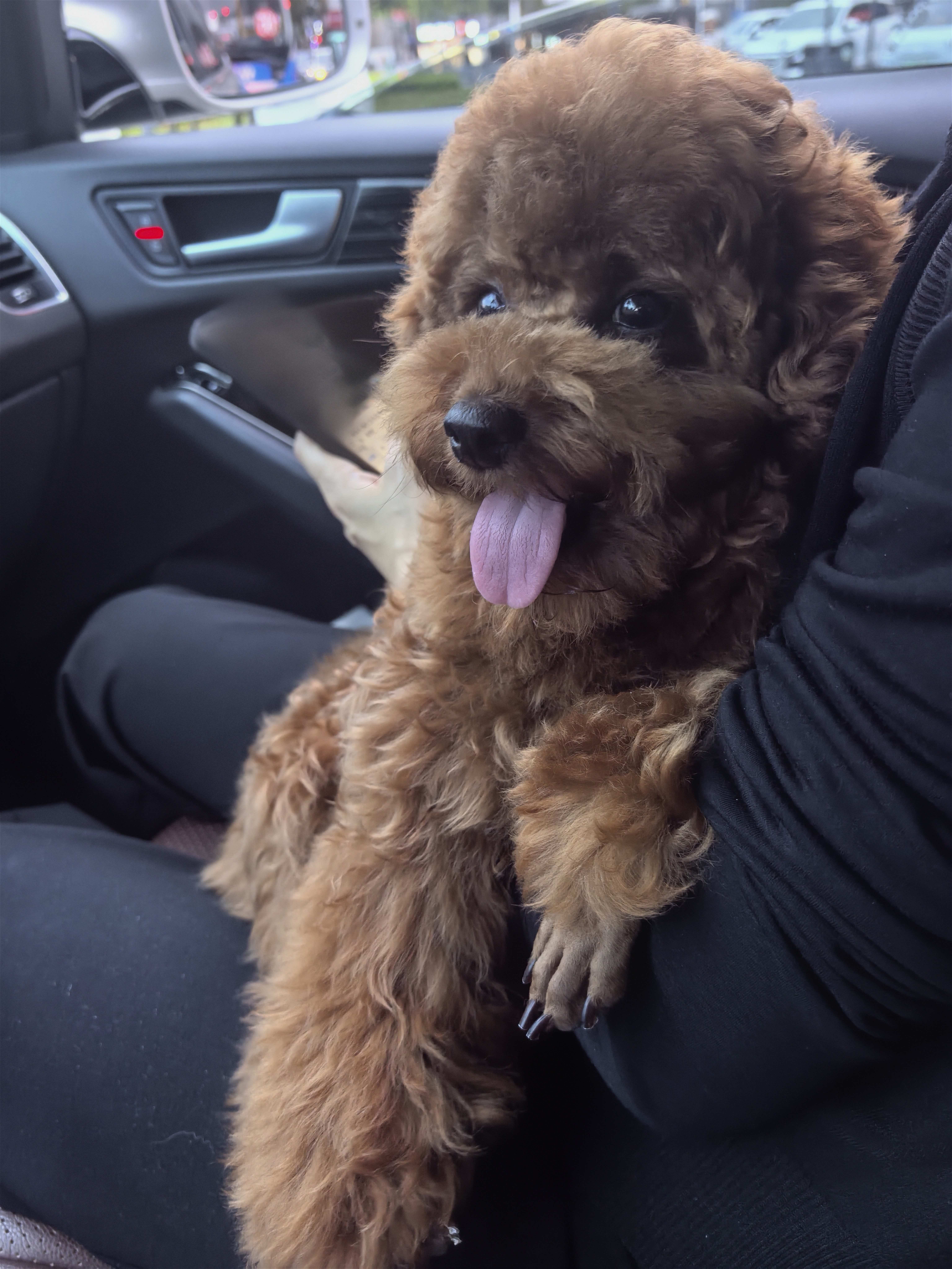 益和（MATCHWELL）狗零食磨牙棒中小型犬宠物鸡肉鸭肉双拼5寸磨牙棒100g*5 实拍图