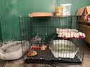憨憨宠猫笼折叠猫笼子大号猫别墅加粗加密双层猫舍猫窝宠物猫咪用品家用 黑色 700双层 实拍图