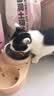 LEGENDSANDY蓝氏猎鸟乳鸽生骨肉冻干猫粮 全价成猫幼猫猫粮 盒装4.5kg 实拍图