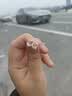 芯奢S999纯银针耳钉女款简约猫眼玫瑰金色2026新款气质养耳洞耳环耳饰 【S999银针】猫眼耳钉一对 实拍图
