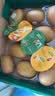 佳沛（zespri）新西兰金奇异果4粒103-114g猕猴桃源头直发中秋节礼品送水果礼盒 实拍图