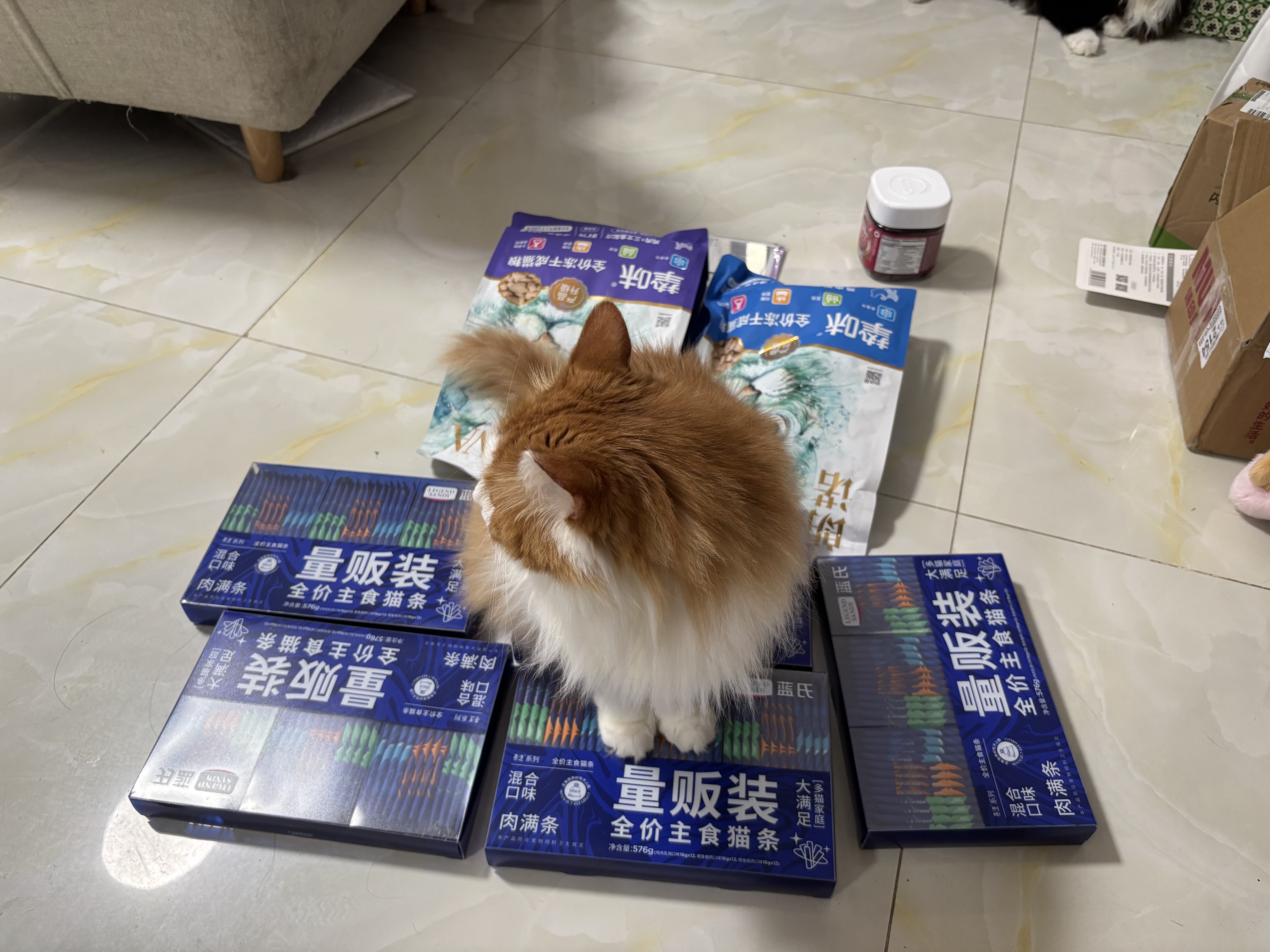 LEGENDSANDY蓝氏猫零食主食猫条鲜肉猫湿粮混合口味36支*5盒 实拍图
